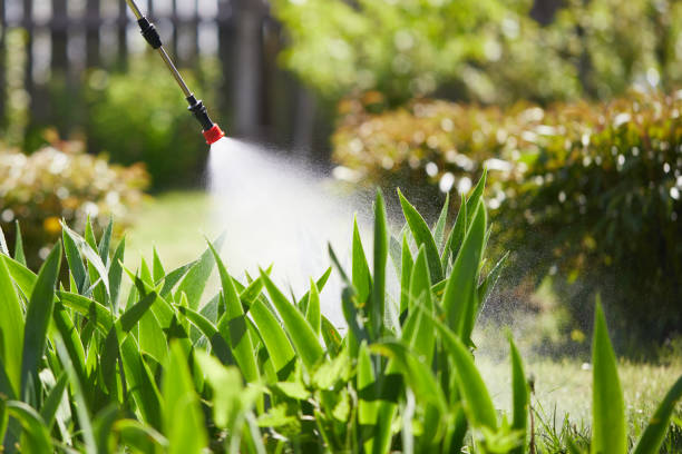 24/7 Emergency Mosquito Control experts in Lake Isabella, CA